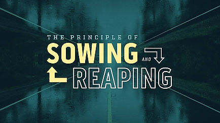 Sowing & Reaping